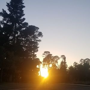 Meet your Posher, Healing station